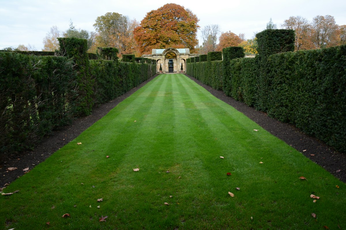 Pelouse et haies entretenues dans un jardin